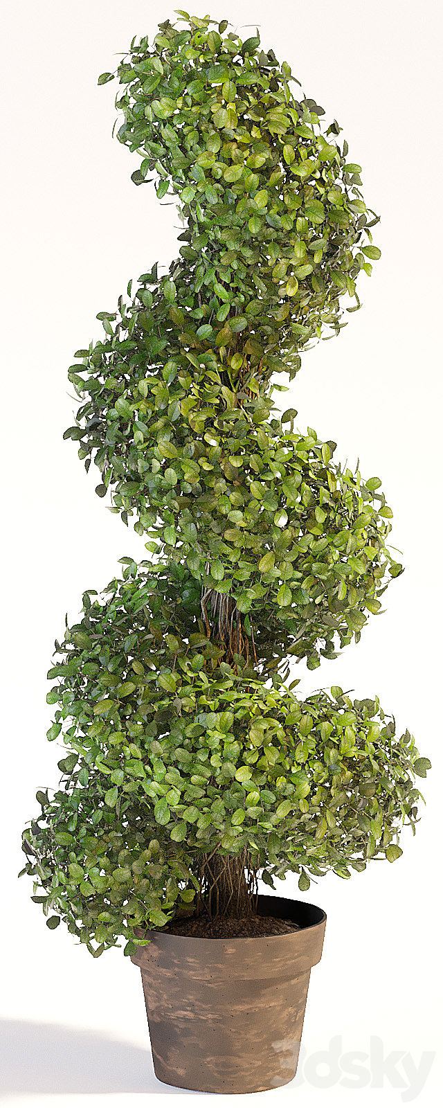 Set of decorative trees 3d