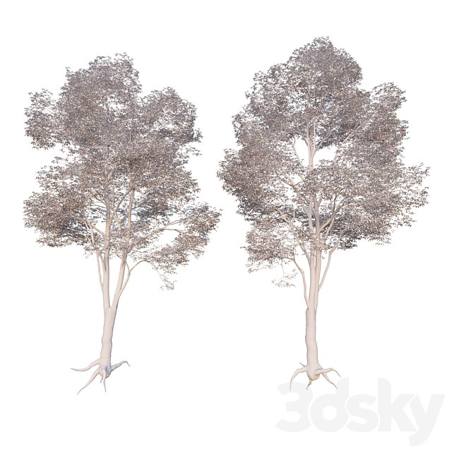 3d