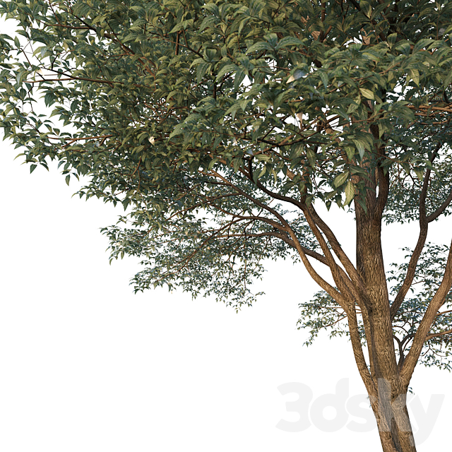 3dsky Free Download