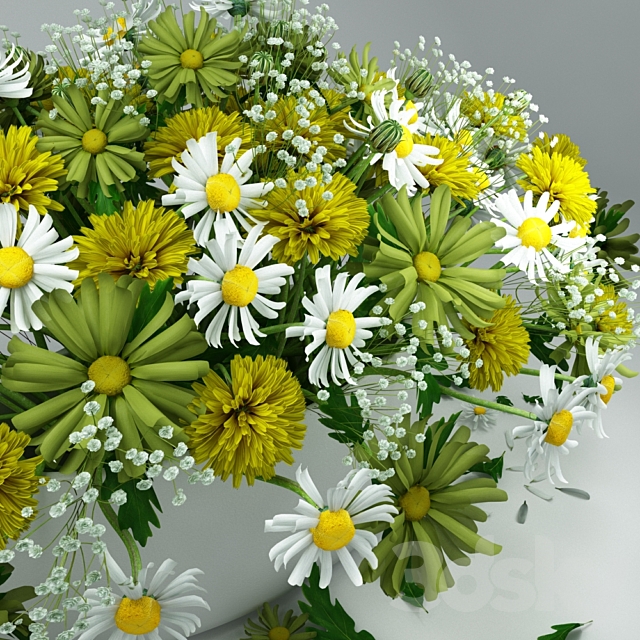 3dsky Free Download