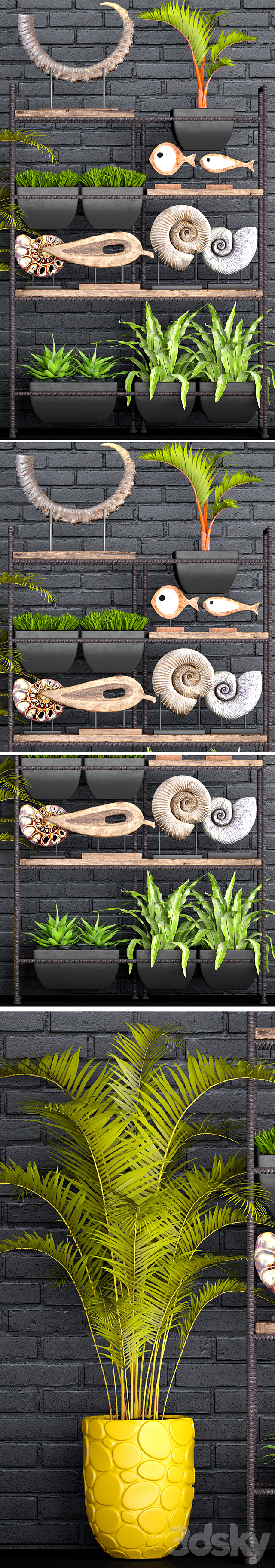 Decorative set. 1. Black brickwork. tusk. horn. palm tree. ammonite. figurine. assplenium. loft. shelf with decor. rack 3d