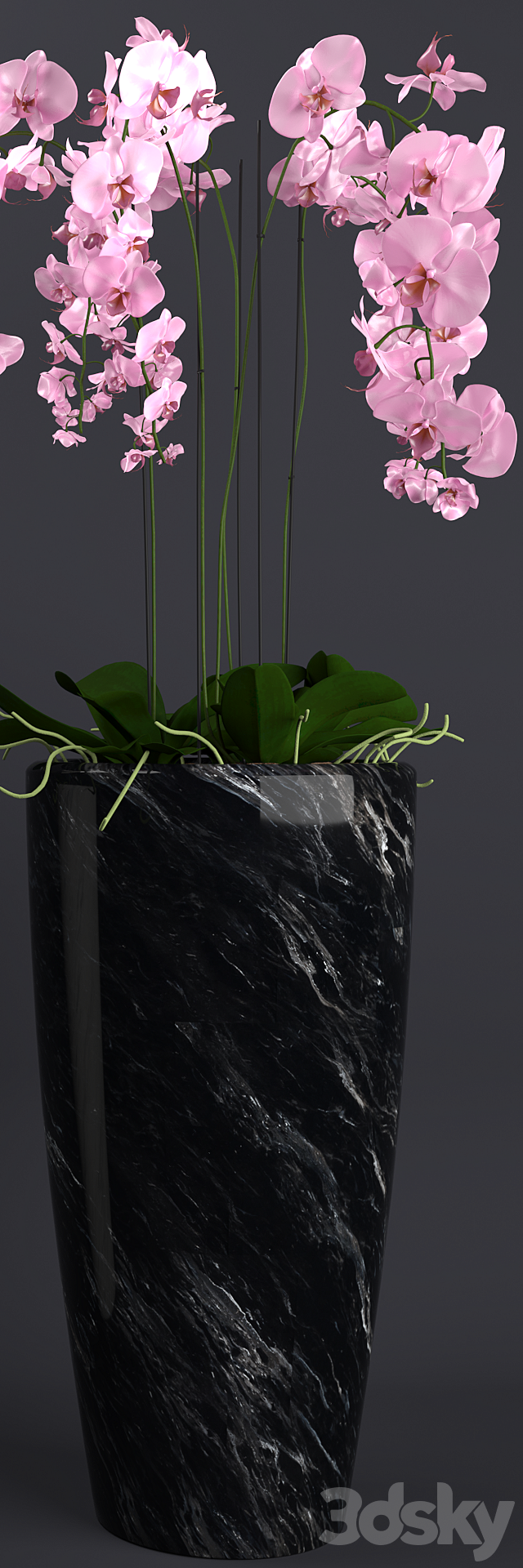 Orchid 4 3d