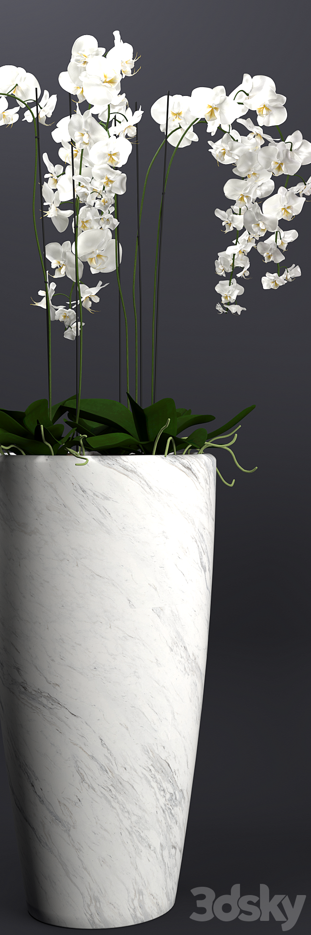 3dsky Free Download