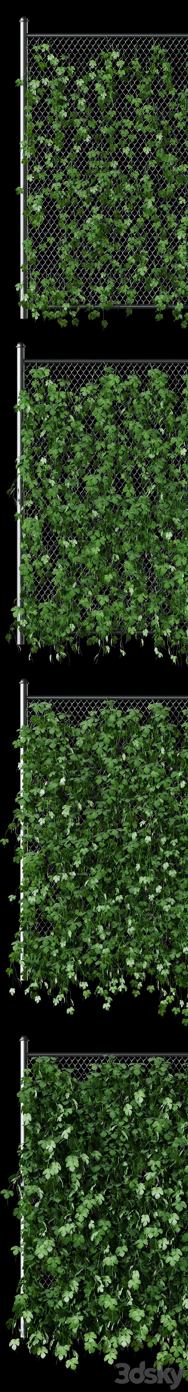 Leaves of hops on the fence net 3d