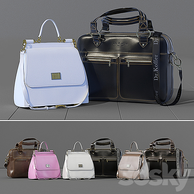 Business leather bag Dr.Koffer + women’s bag Dolce Gabbana 3DSMax File - thumbnail 1