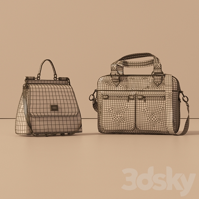Business leather bag Dr.Koffer + women’s bag Dolce Gabbana 3DSMax File - thumbnail 3