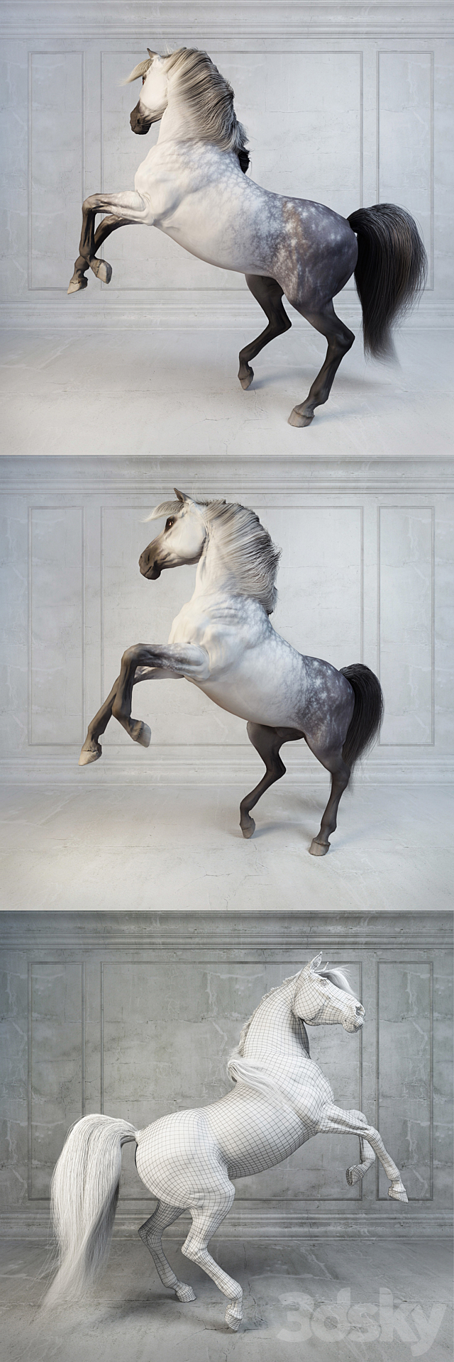 Andalusian Stallion. The Spanish horse. 3d