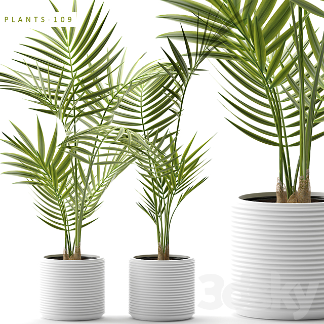 Plants 109 3DSMax File - thumbnail 1