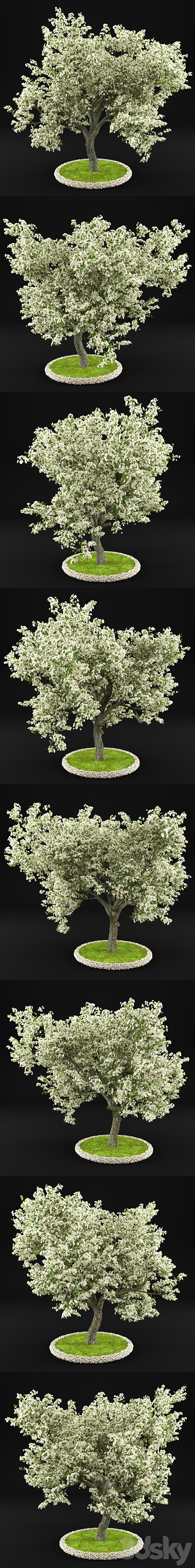 3d