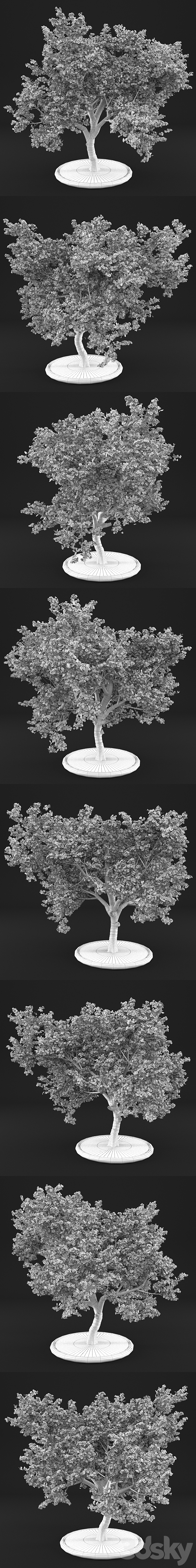 3dsky Free Download