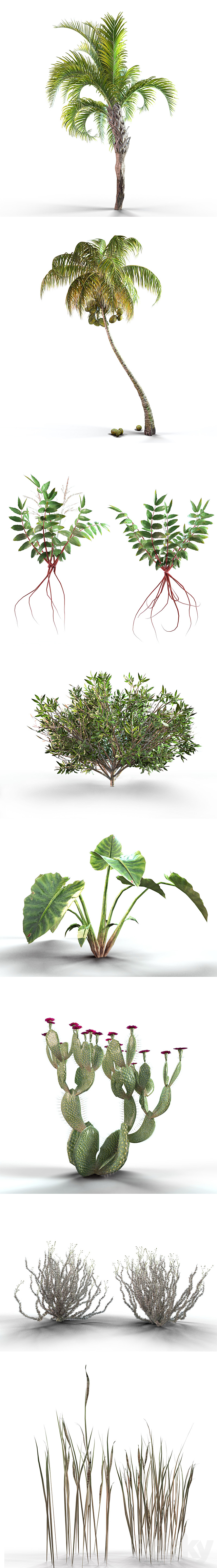 3dsky Free Download
