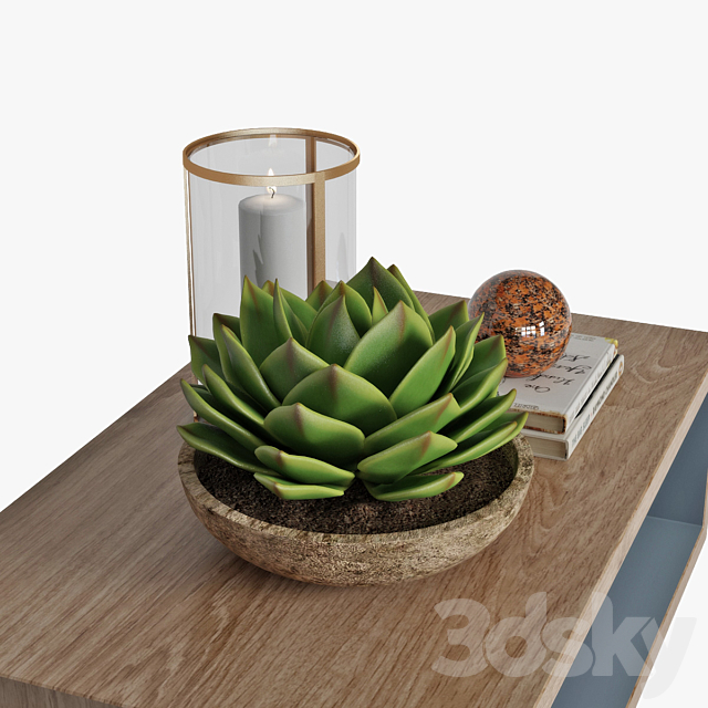 Coffee table with decor 3DSMax File - thumbnail 3