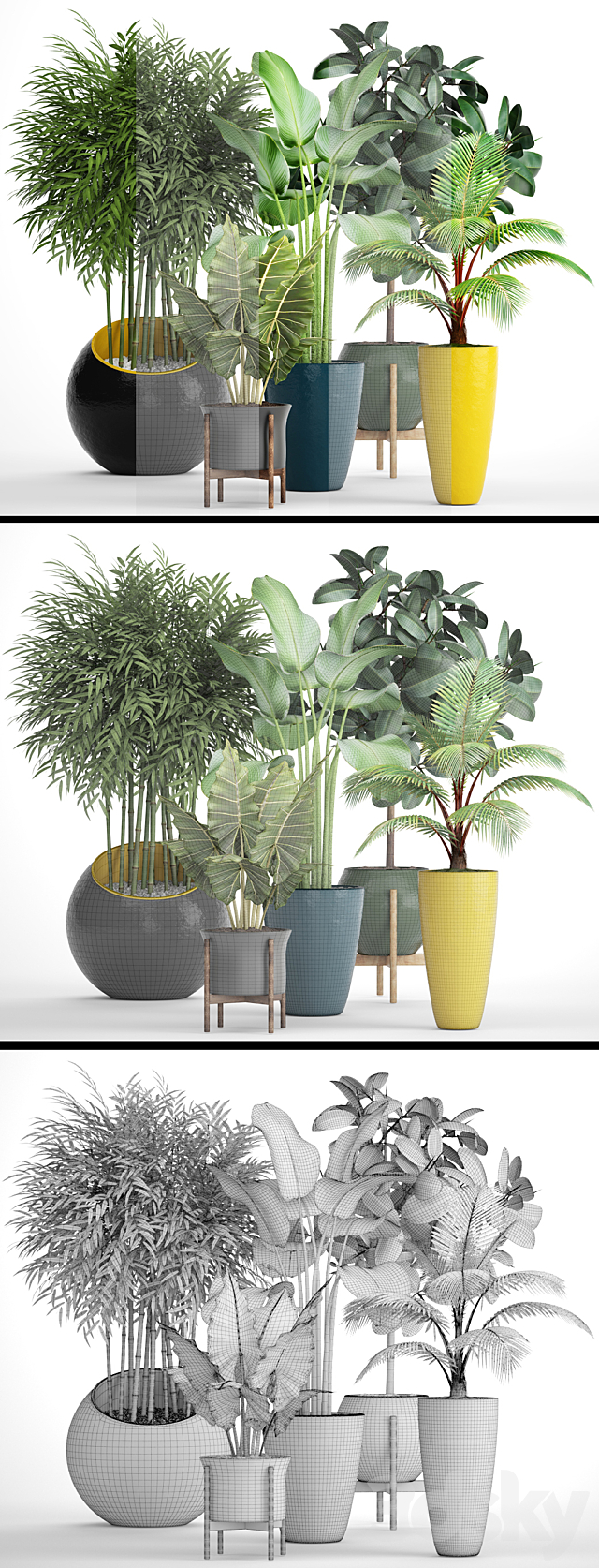 A collection of plants in pots. 63. Ficus. alocasia. tree. coconut tree. bamboo. bushes. round flowerpot. colorful pots 3DSMax File - thumbnail 3