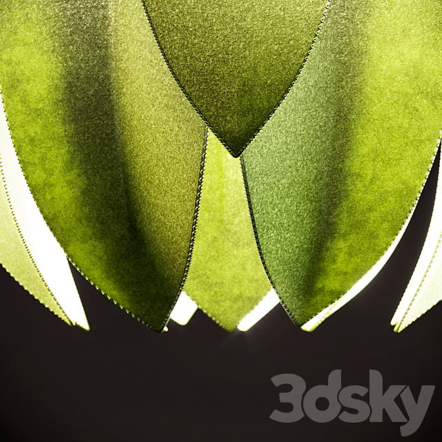 3d