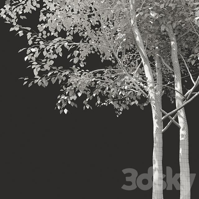 Summer tree # 03 3DSMax File - thumbnail 3