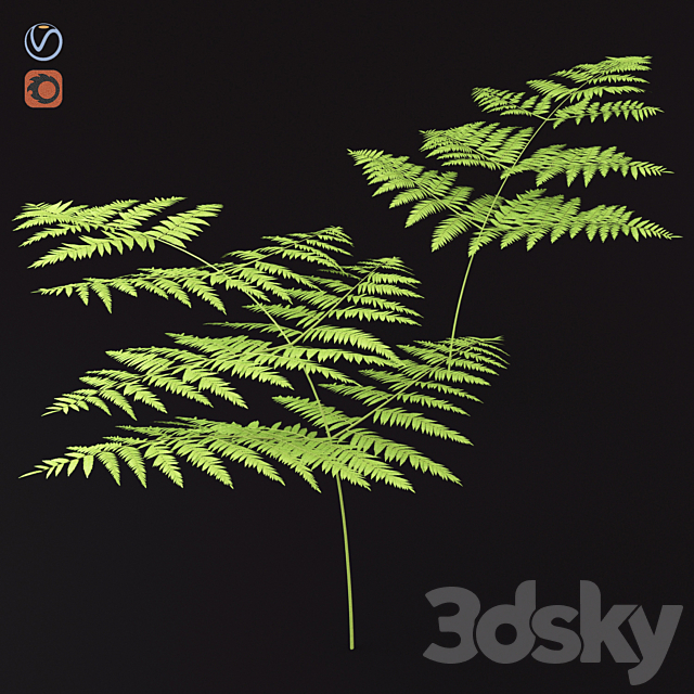3d