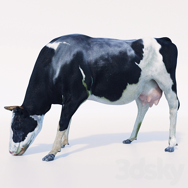 Cow 3DSMax File - thumbnail 1