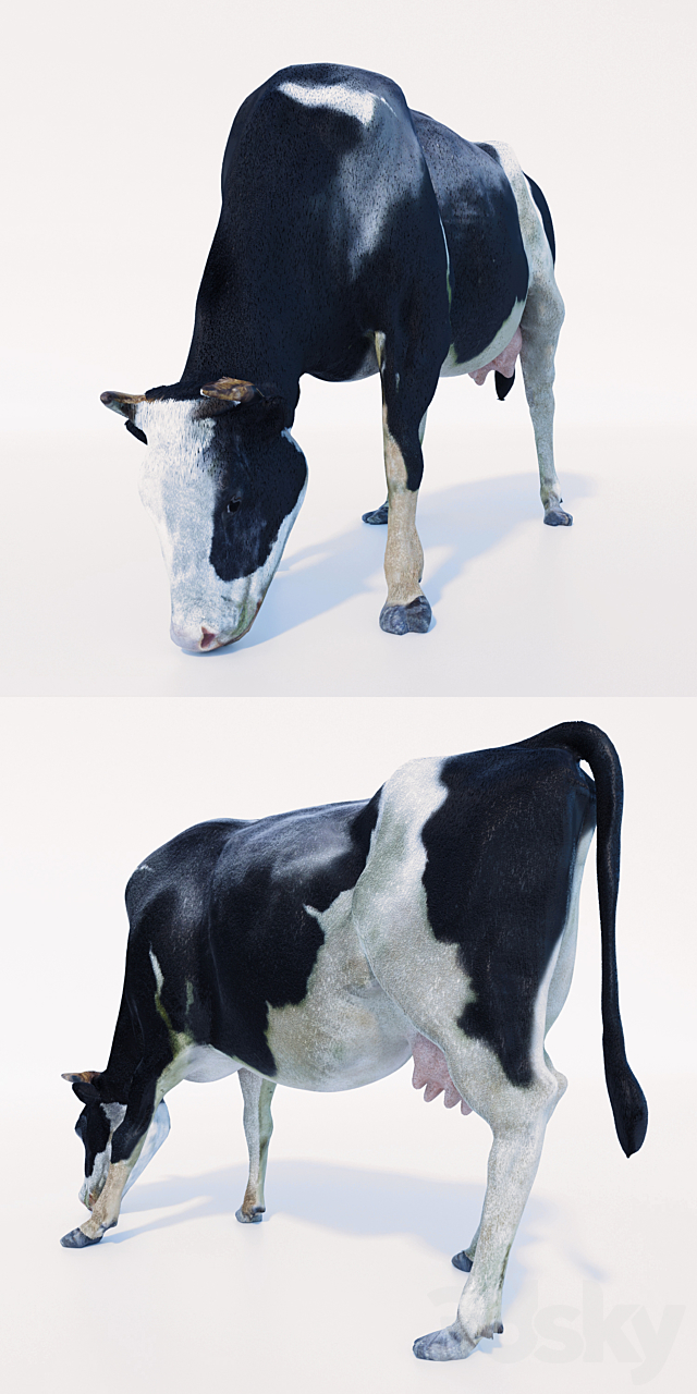 Cow 3DSMax File - thumbnail 2