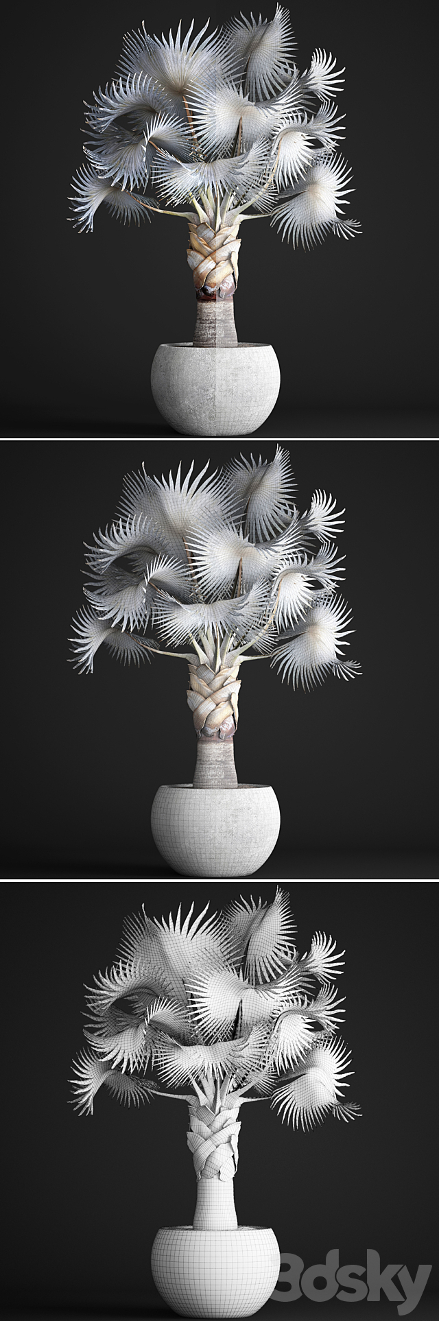 3dsky Free Download