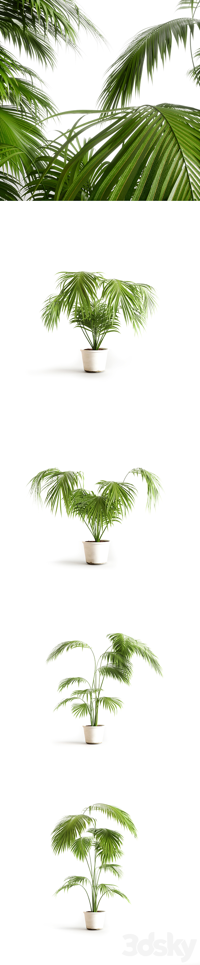 3dsky Free Download