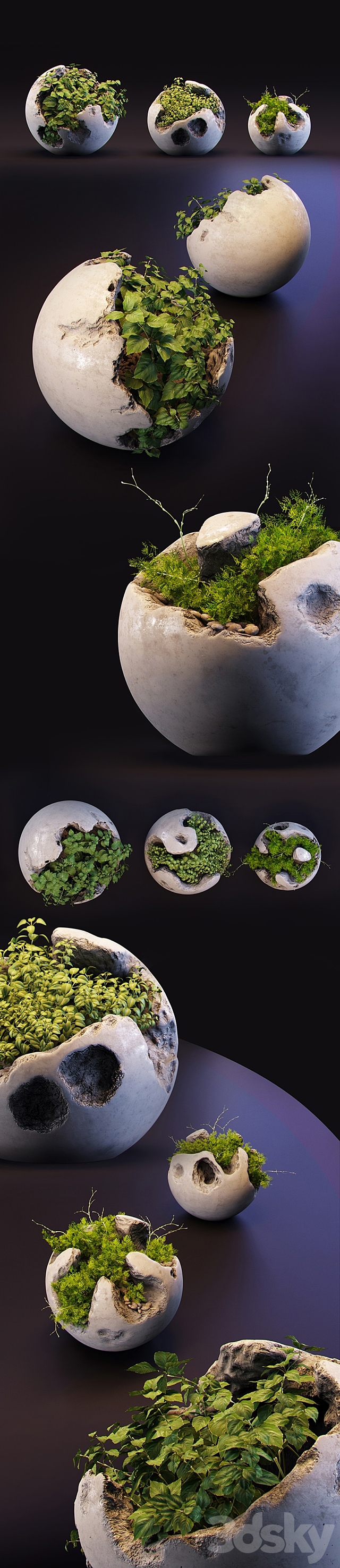 Round concrete pots with plants 3DSMax File - thumbnail 2