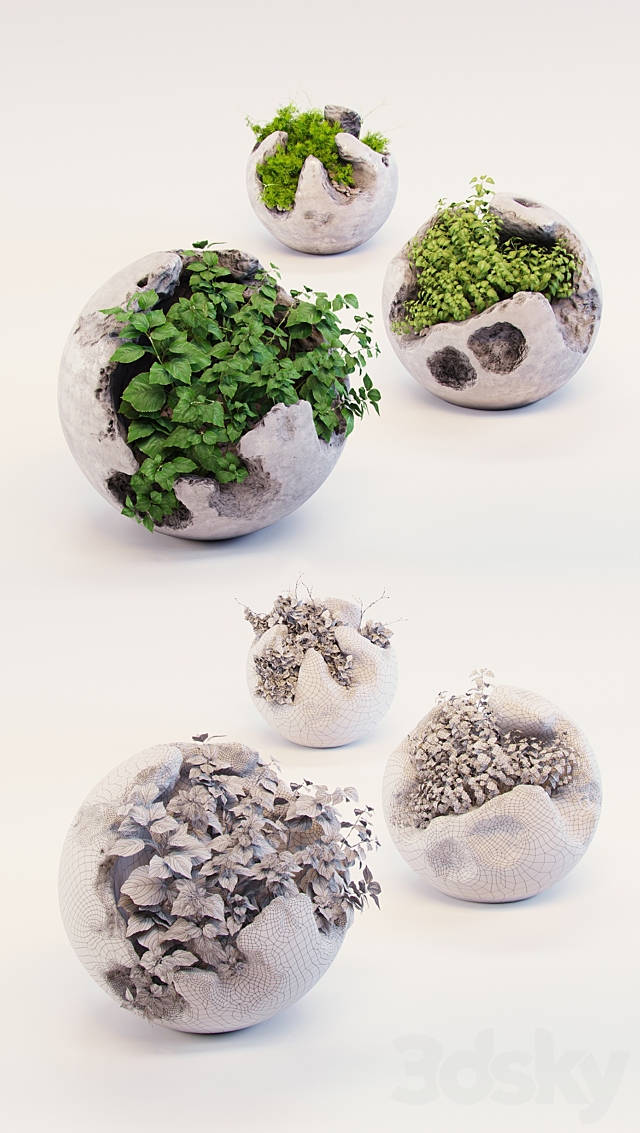 Round concrete pots with plants 3DSMax File - thumbnail 3