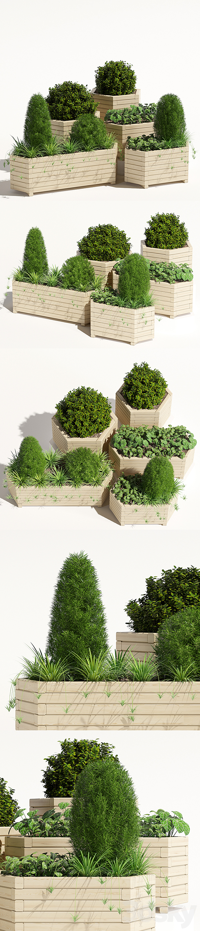 3d