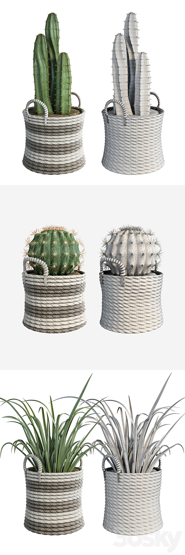 3d