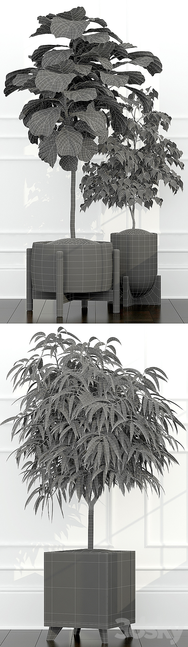 3dsky Free Download