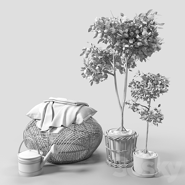 3dsky Free Download