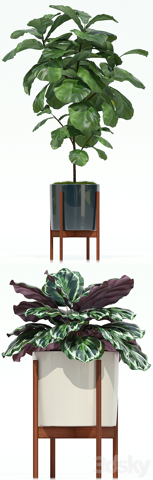 Plants collection 69 Modernica pots 3DSMax File - thumbnail 2