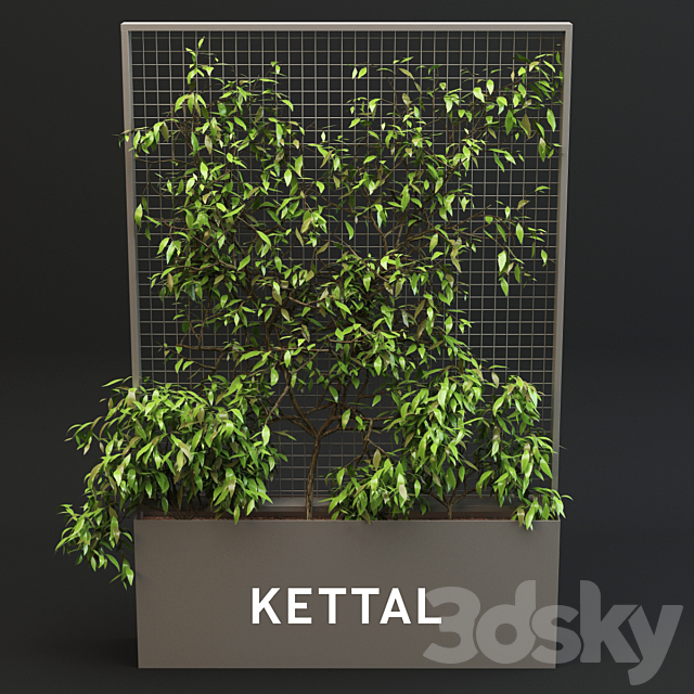 3d