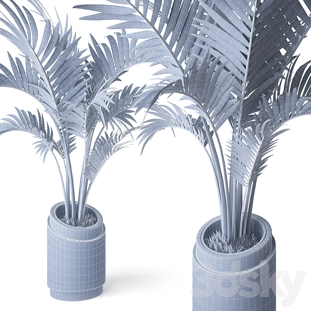 3dsky Free Download