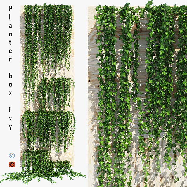 Planter box ivy 3DSMax File - thumbnail 1