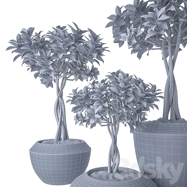 3dsky Free Download