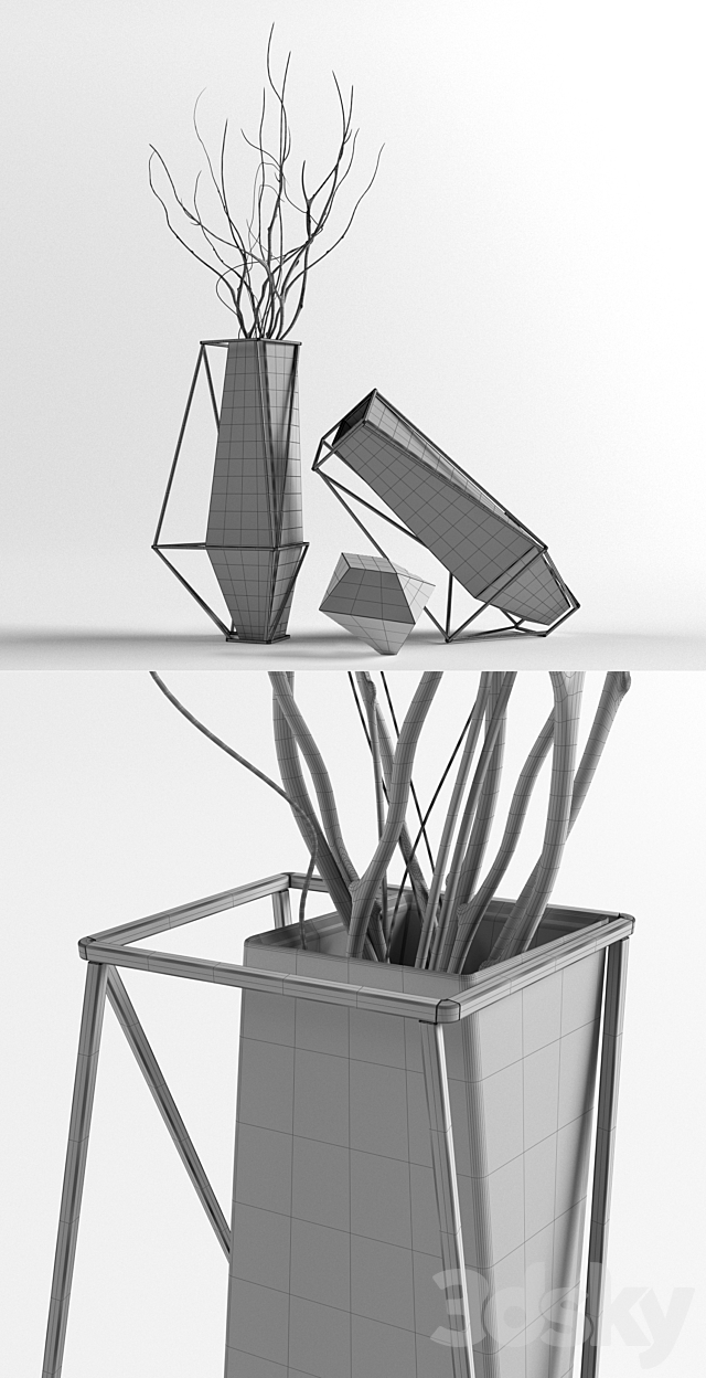3dsky Free Download