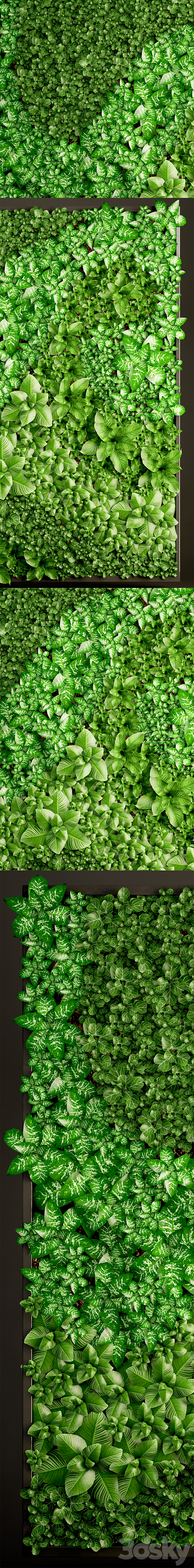 Vertical garden 6. Vertical garden. phytowall. phytomodule. landscaping. green painting. bush. wall decor. eco design 3d