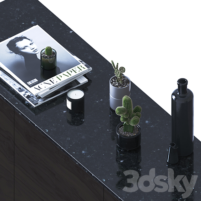 Decorative set with cactuses 3DSMax File - thumbnail 3