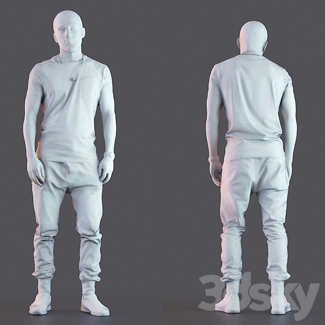 3d