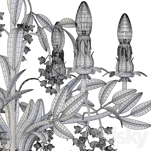 Passeri International 3d
