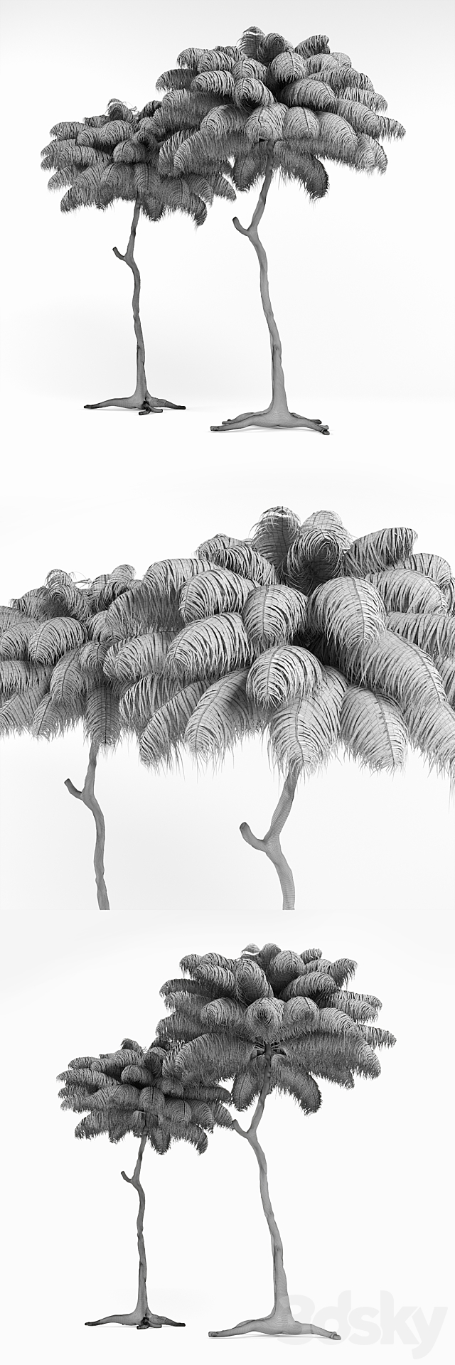 3dsky Free Download