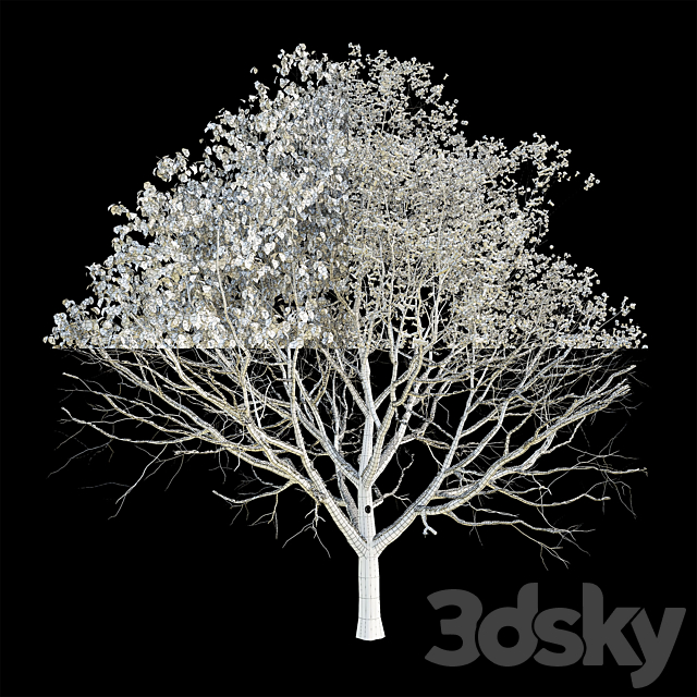 3dsky Free Download