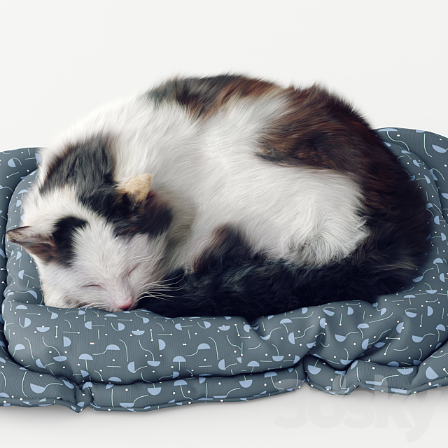 Fluffy cat 3DSMax File - thumbnail 2