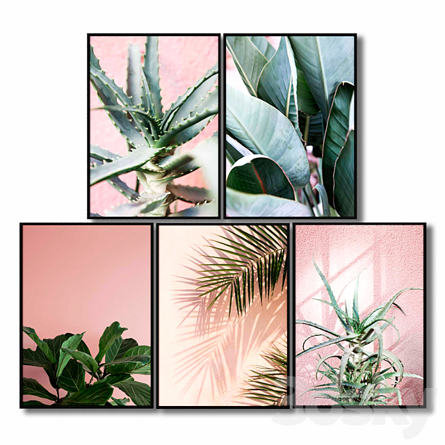 Posters with pink plants. 3DSMax File - thumbnail 1