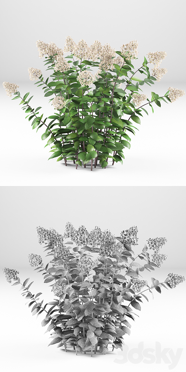 3dsky Free Download
