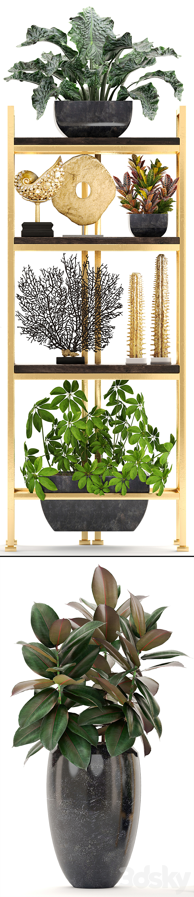 Decorative set. 4. Shelf with flowers. gold. coral. Ficus. pot. Rack. decor. Schefflera. luxury. ficus abidjan 3d