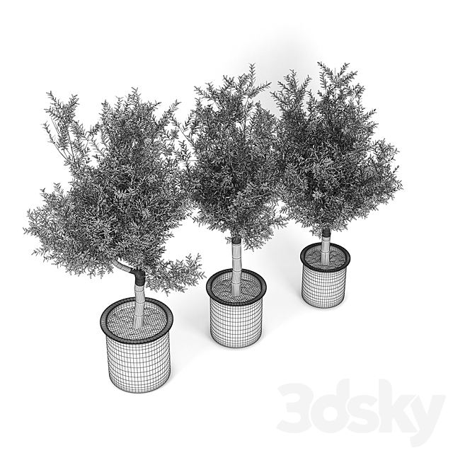 3dsky Free Download