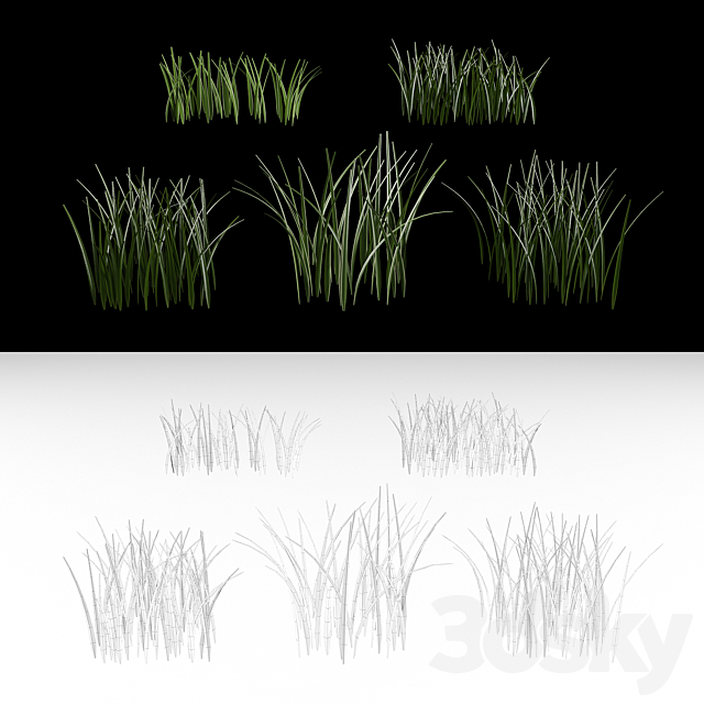 3d
