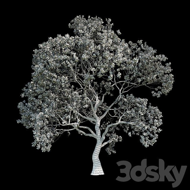 3d