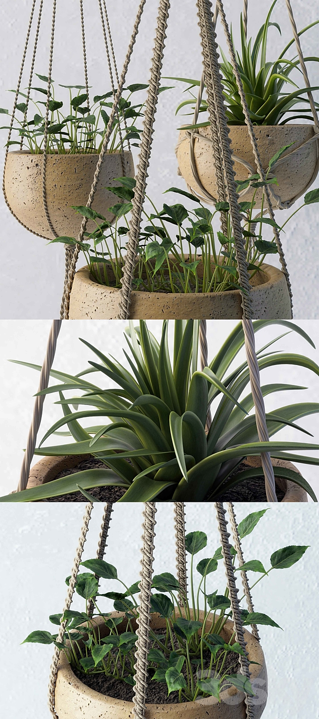 Decorative set of flower pots 3d